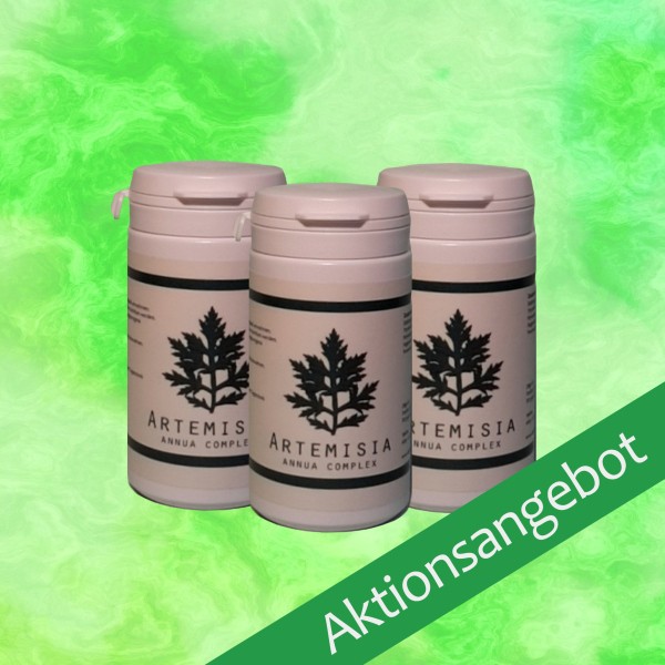 Weihnachtsangebot Artemisia annua complex (3 Dosen)